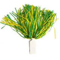 Pom Pom, School Colors